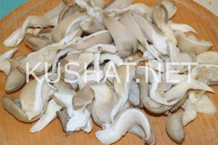 Laskagomba leves (laskagomba leves) Gombaleves laskagomba
