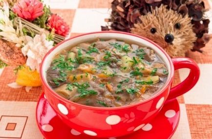 Грибний суп - корисно і дуже смачно - прості рецепти