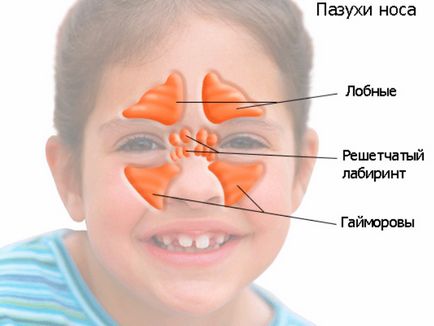 Inhalarea cu propolis într-un nebulizator pentru copii și adulți