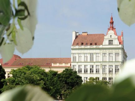 Institutul de Finanțe și Management din Praga