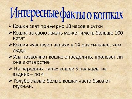 Цікаві факти про кішок - презентація 126331-24