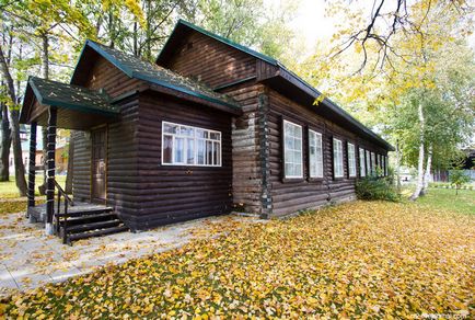 Як роблять дерев'яні іграшки це цікаво!