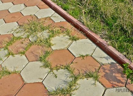 Cum să scapi de iarba dintre plăcile trotuare pentru a le elimina, astfel încât iarba să nu crească, removerul