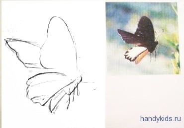 Як намалювати метелика в польоті