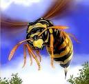 Care este tratamentul numit albine și unde este acest lucru