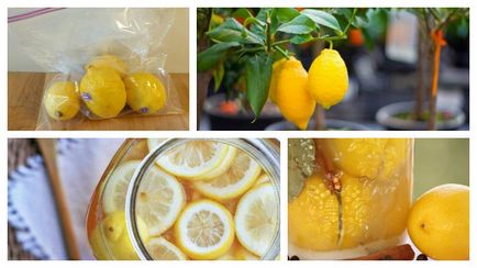 Як потрібно зберігати лимони в домашніх умовах