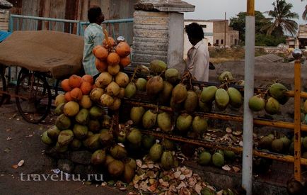 Cum se deschide o nucă de cocos