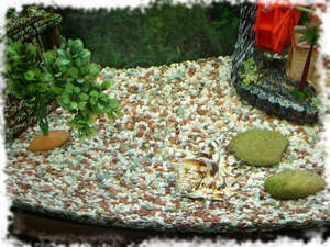 Який з грунтів краще для акваріума види, його розміщення в акваріумі і догляд за рослинами