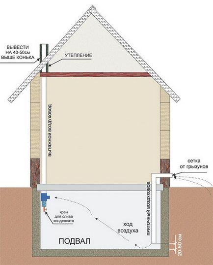 Cum să construiești o pivniță în casă