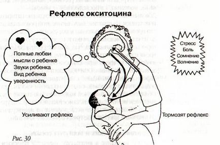 Як правильно зціджувати грудне молоко руками, масаж грудей перед сцеживанием