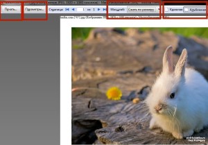 Hogyan nyomtassa ki a képet a Mozilla Firefox, lépésről lépésre az interneten példák