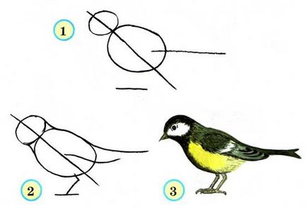 Cum de a desena un tatuaj pe mâna unei imagini în etape - cum să atragă o pasăre în etape desenele de păsări în creion