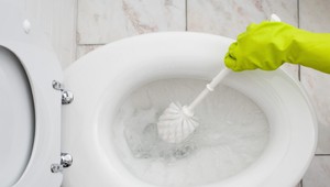 Cum să curățați toaleta la domiciliu folosind metode chimice și mecanice