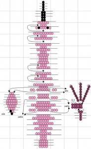 Cum sa faci flamingos din margele, margele, modele de tesut si broderie din margele