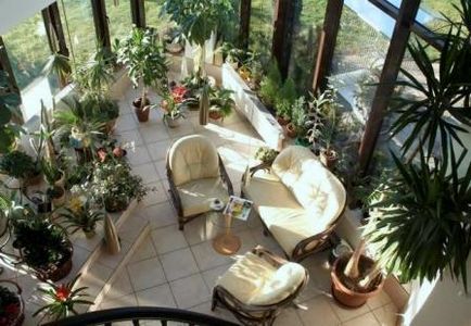 Як зробити на балконі домашню оранжерею - зелений оазис