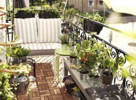 Cum se face o seră pe balcon - o oază verde