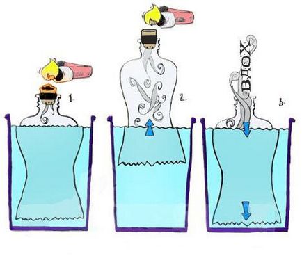Hogyan készítsünk egy víz bika otthon - Technosvet