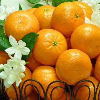Cum să păstrăm tangerinele până în noul an în formă proaspătă