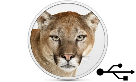 Hogyan hozzunk létre egy bootolható USB flash meghajtót a hegyi oroszlán
