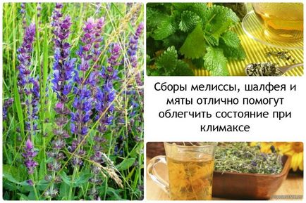 Як поліпшити загальне самопочуття в період клімаксу за допомогою народних методів відео