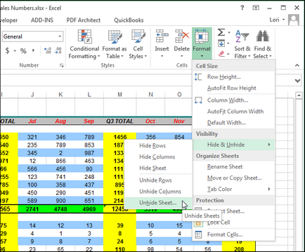 Hogyan excel elrejtése lemezek és egész munkafüzeteket