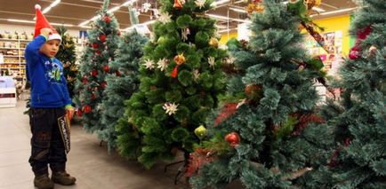 Cum de a alege un pom de Crăciun pentru anul nou 2018, artificiale sau vii, ce să cumpere