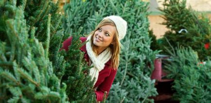 Hogyan válasszuk ki a karácsonyfa az új év 2018 Mesterséges vagy élnek, mit kell vásárolni