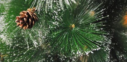 Hogyan válasszuk ki a karácsonyfa az új év 2018 Mesterséges vagy élnek, mit kell vásárolni