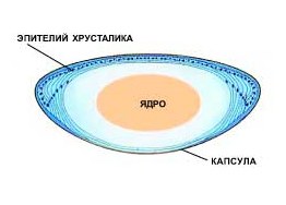 Як бачать люди з порушенням зору медичний блог лікаря швидкої допомоги