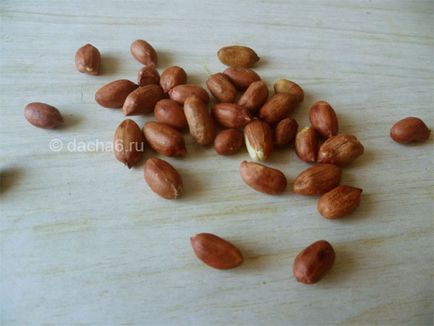 Як виростити арахіс в городі