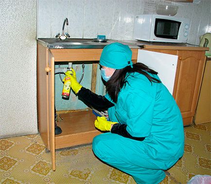Cum să scoateți gândacii din apartament
