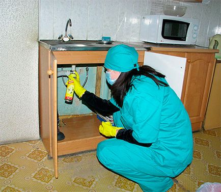 Amint csótányok lapos kijelző (lapos kijelző csótányok) Hogyan, hogy a csótányok a lakásban