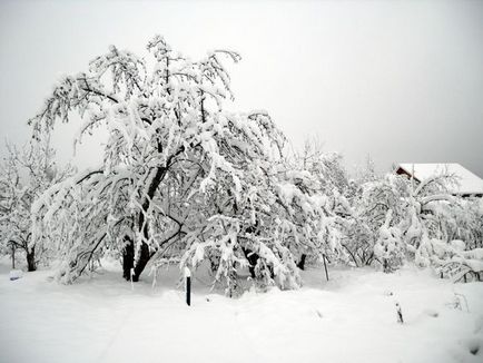 Cum să supraviețuiți fără electricitate într-un sat acoperit de zăpadă