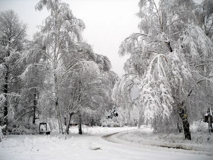 Cum să supraviețuiți fără electricitate într-un sat acoperit de zăpadă