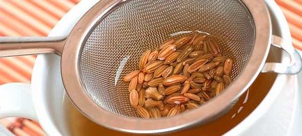 Cum se prepară semințe de mărar cu infuzii de cistite și decocții, recenzii ale femeilor
