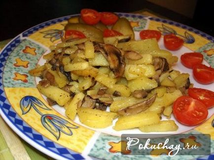 Cum să prăjiți ciupercile de bolete cu reteta de cartofi foto