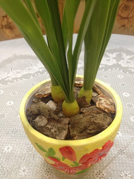 Floristica ceramică a Narcisului