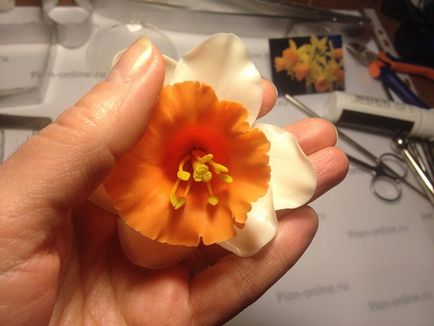 Floristica ceramică a Narcisului