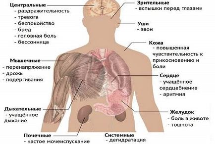 Кофеїн для похуденія- інструкція застосування таблеток і обгортань