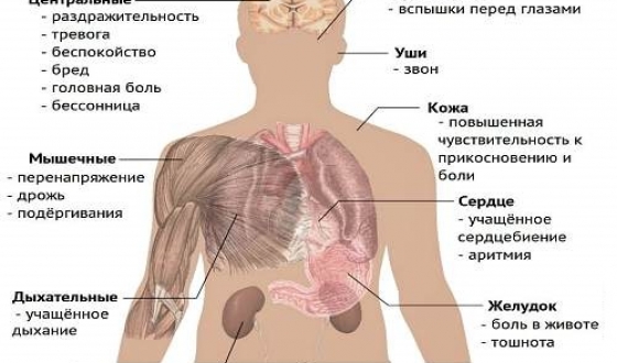 Кофеїн для похуденія- інструкція застосування таблеток і обгортань