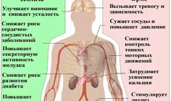 Кофеинът за pohudeniya- ръчно нанасяне на хапчета и тайна