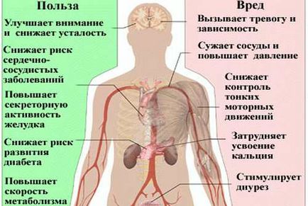 Cofeina pentru pierderea în greutate - instrucțiuni pentru utilizarea tabletelor și a ambalajelor