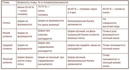 Când și cum să aprovizionezi în mod corespunzător plante în grădină, casă și grădină