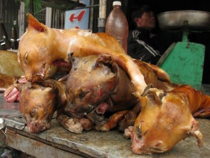 A kutyák és macskák, mint a nemzeti élelmiszer az észak-vietnami, két stoppos! Két stoppos!