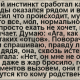 Кот на сходах продовжує сварити користувачів інтернету