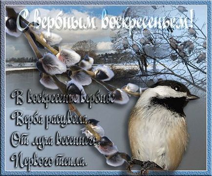 Красиві привітання з вербною неділею вірші і смс