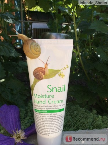 Крем для рук foodaholic snail moisture hand cream - «равликовий крем для рук! продовжую тестувати
