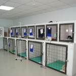 Rotary clinic veterinar în Ojarsk