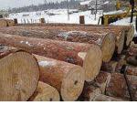Купити деревину, купити деревину за цінами 2017 року