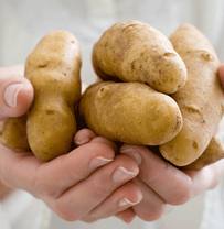 лікування картоплею